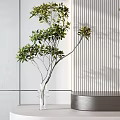 Modern Countertop Decor with Glass Vases and Fresh Green Plants