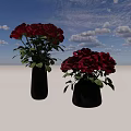 Beautiful Pink Roses in Black Vases with Fresh Green Leaves for Elegant Home Decor