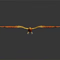 Fiery Flame Phoenix Spreading Wings In Black Background With Reflection