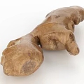 Organic Fresh Natural Ginger Root Vegetable Ideal for Healthy Cooking Recipes