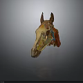 Horse Head Anatomy Model Showing Organs Muscles Skeleton Vessels And Hair Structure