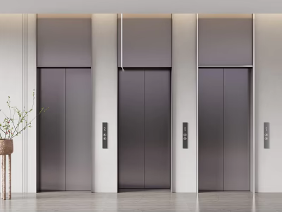Modern Elevators In Sleek Building Lobby With Plant 3d model