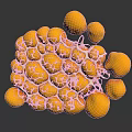 3D Rendered Organ Tissue Structure With Yellow Spheres And Honeycomb Like Design On Dark Background