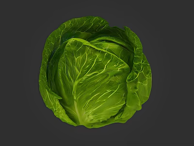 Fresh Green Cabbage Vegetable With Vibrant Leaves And Nutritious Healthy Benefits 3d model