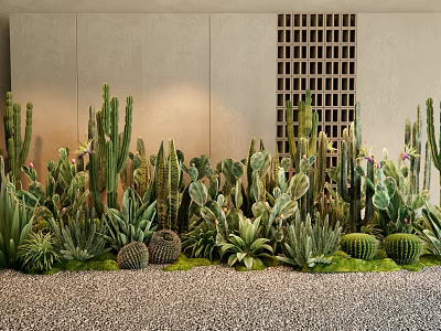 Cacti And Succulents Plant Combination For Modern Landscape 3d model