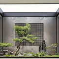 Tranquil Indoor Landscape With Bonsai Pine Tree Stones Moss Grid Patterned Wall And Skylight 3d model