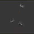 modern dandelion flowers weeds 3d model