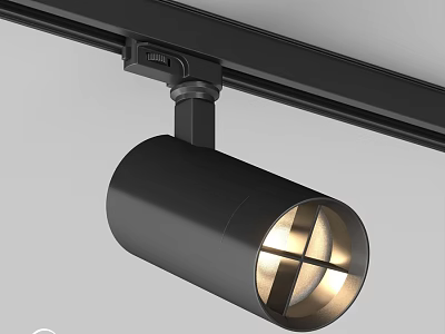 Black Track Mounted Downlight Spotlight With Modern Design And Warm Light 3d model