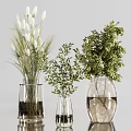 Transparent Vases With White Pompom Flowers Green Leaves And Wheat Like Plants In Light Background