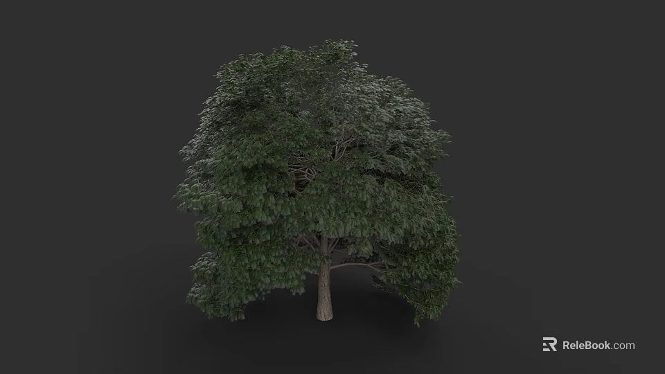 Lush Green Arbor With Dense Foliage And Strong Trunk Structure 3d model