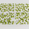Organic Green Garden Landscape Design With Irregular Shapes And Natural Interlaced Structures