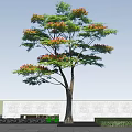 Tall Arbor With Green Leaves And Red Flowers Against Blue Sky And White Clouds