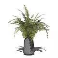 Minimalist Gray Vase With Fresh Green Ferns For Home Interior Decor