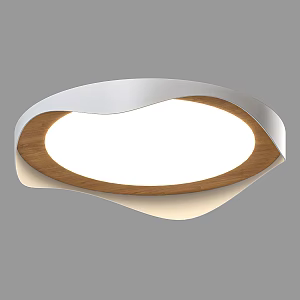 Nordic Simple Ceiling Lamp Ceiling Lamp Simple Ceiling Lamp Semi-circular Ceiling Lamp Ceiling Lamp Wooden Ceiling Lamp 3d model
