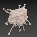 Detailed 3D Virus Structure Model With Spikes For Scientific Visualization
