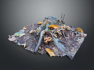 Natural Plant Roots With Fallen Leaves Mushrooms And Twigs On Ground 3d model