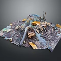 Natural Plant Roots With Fallen Leaves Mushrooms And Twigs On Ground