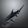 Realistic Blue Hammerhead Shark 3D Model With Distinctive Head Shape 3d model