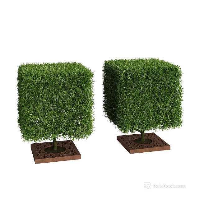 Two Green Cube Shaped Shrubs Planted On Brown Square Bases 3d model 