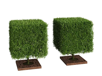 Two Green Cube Shaped Shrubs Planted On Brown Square Bases 3d model