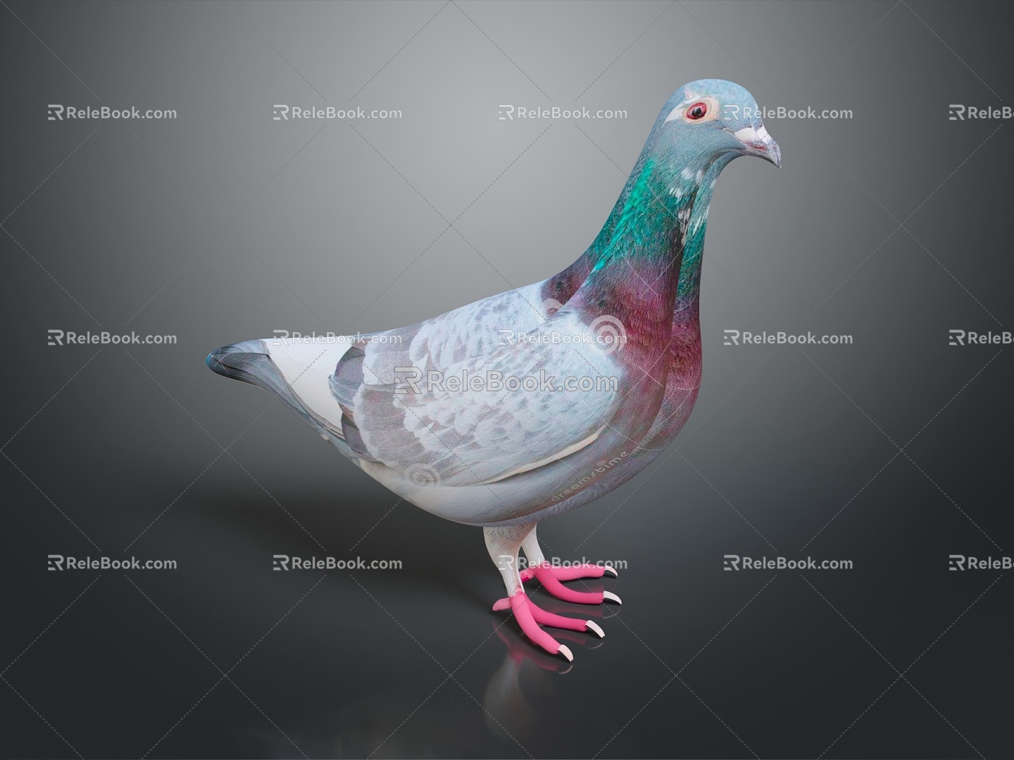 Pigeon Edible Pigeon Play Pigeon Racing Pigeon Military Pigeon Experimental Pigeon Wild Pigeon Rock Pigeon Raw Pigeon 3d model