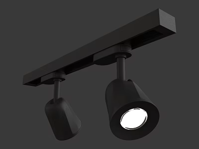 Black Track Mounted Spotlights With Bright White Illumination For Indoor Lighting 3d model