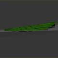 Vibrant Green Monstera Leaf Isolated On Dark Gray Background With Tropical Plant Characteristics