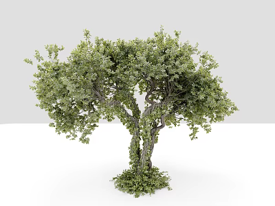 Lush Green Arbor With Dense Foliage And Natural Branch Structure 3d model