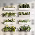 Wall Mounted White Planters with Various Potted Plants on Perforated Wall 3d model