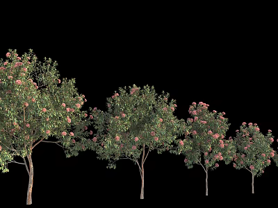 Lush Flowering Trees With Pink Blossoms And Green Foliage Arranged In A Row 3d model