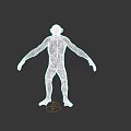 Highly Detailed 3D Chimpanzee Model In Natural Standing Pose With Lifelike Features