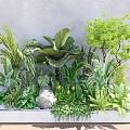 Indoor Landscape Featuring Verdant Leafy Plants Ferns Palm Leaves And Stone Decor