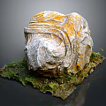 Carved Wood Stone With Natural Texture Yellowish Patches And Mossy Base