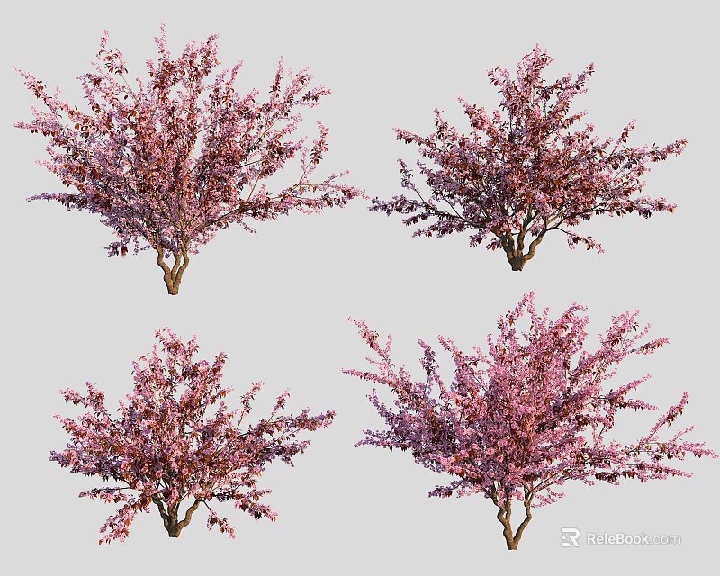Four Different Pink Flowering Trees In Full Bloom With Lush Branches 3d model 