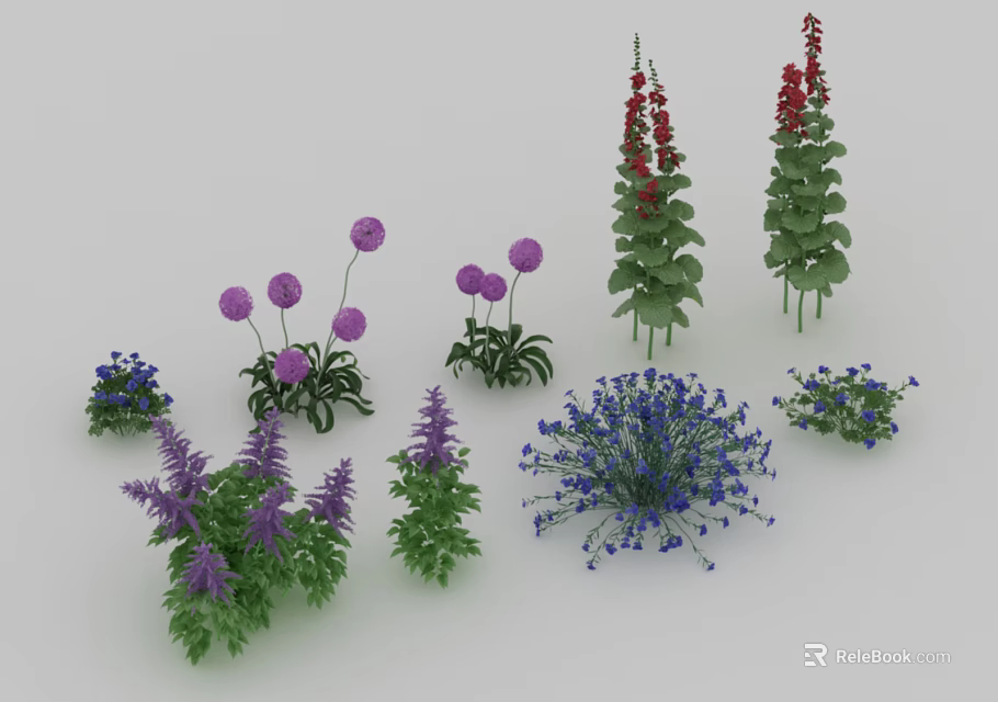 Vibrant Garden Flowers and Plants with Purple Spherical Red Columnar Blue Clusters and Green Leaves 3d model 