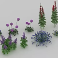 Vibrant Garden Flowers and Plants with Purple Spherical Red Columnar Blue Clusters and Green Leaves