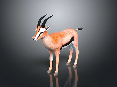 Brown And White Gazelle With Black Horns Standing On Gray Background With Reflection 3d model