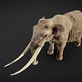 Mammoth With Long Curved Tusks And Gray Skin Standing In Dark