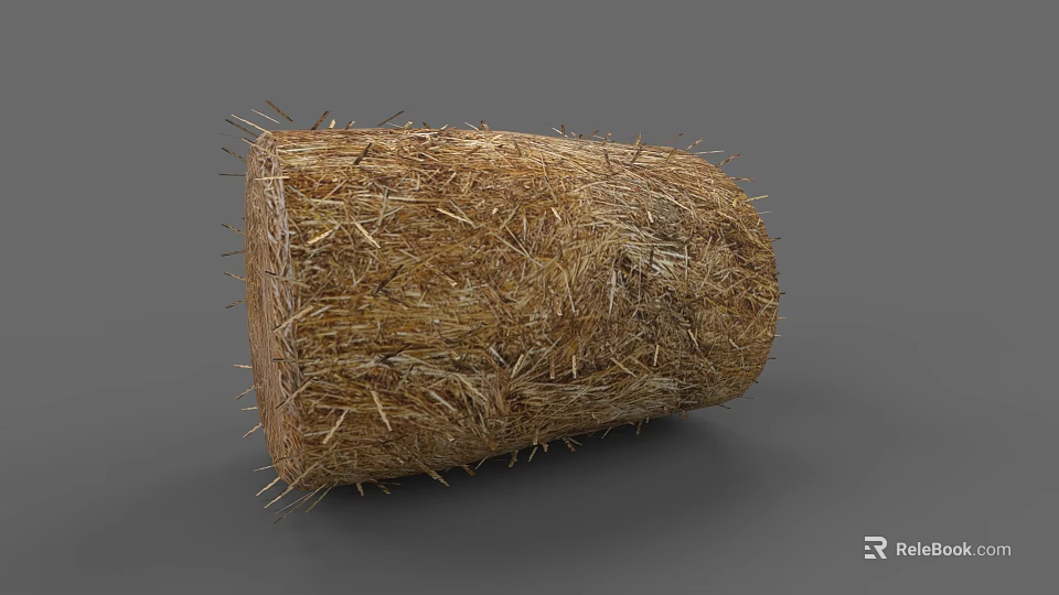 Plant Painting Showcasing Detailed Natural Straw Bale With Textured Surface 3d model 
