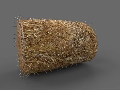 Plant Painting Showcasing Detailed Natural Straw Bale With Textured Surface 3d model