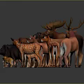 Colorful Wild Animal Figurine Collection With Bears Moose Deer Fox Wolf And Boar