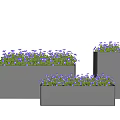 Modern Indoor Potted Plants In Grey Rectangular Planters With Purple Flowers And Green Leaves