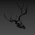 Realistic Detailed White Deer Skull With Large Antlers On Dark Background