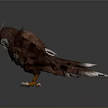 Majestic Eagle With Spreading Wings And Red White Feathers On Gray Background