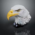 Bald Eagle Head With White Feathers Yellow Beak Sharp Eyes On Dark Background And Reflection 3d model