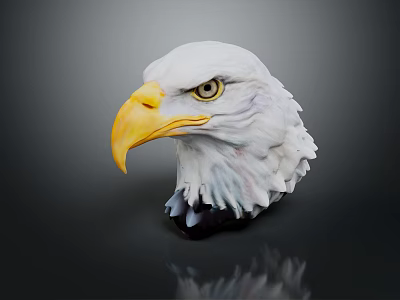 Bald Eagle Head With White Feathers Yellow Beak Sharp Eyes On Dark Background And Reflection 3d model