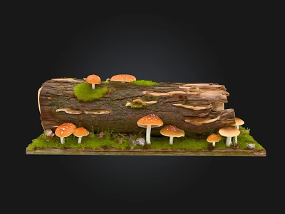 Natural Wooden Log With Stones Moss And Small Colorful Mushrooms 3d model