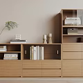 Modern bookcase 3d model