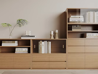 Modern bookcase 3d model