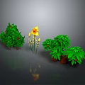 Various Green Plants And Yellow Flowers In Potted Decorative